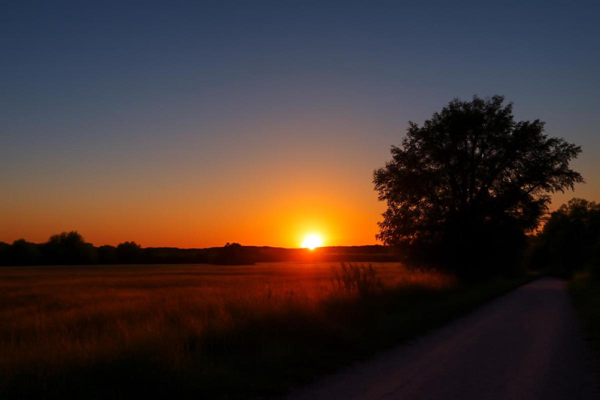 Clima en Mendoza: pronóstico del tiempo para el 17 de diciembre