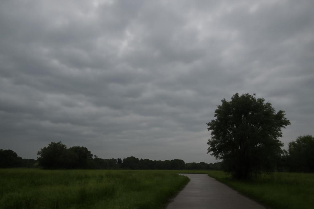 Clima en Rosario: cielo nublado y temperaturas agradables