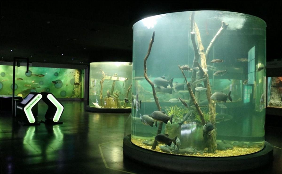 Acuario del Río Paraná en Rosario.