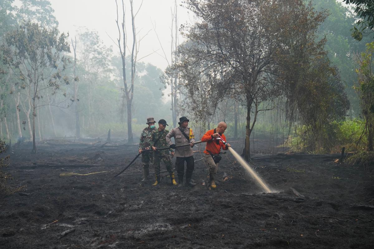 Un estudio proyecta hasta 451.000 muertes más debido al calor causado por El Niño