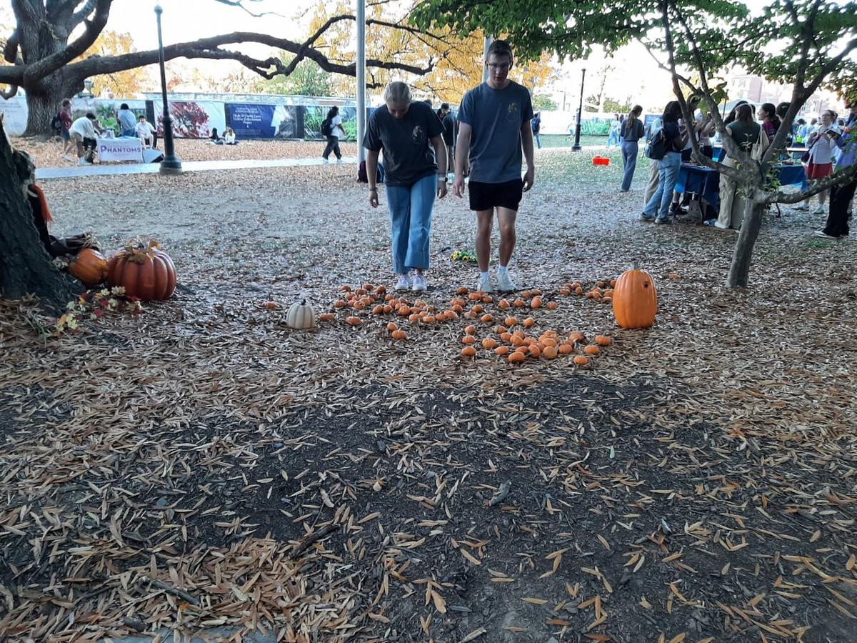 FOTO: En Washington, el barrio de Georgetown se encuentra decorado con calabazas 