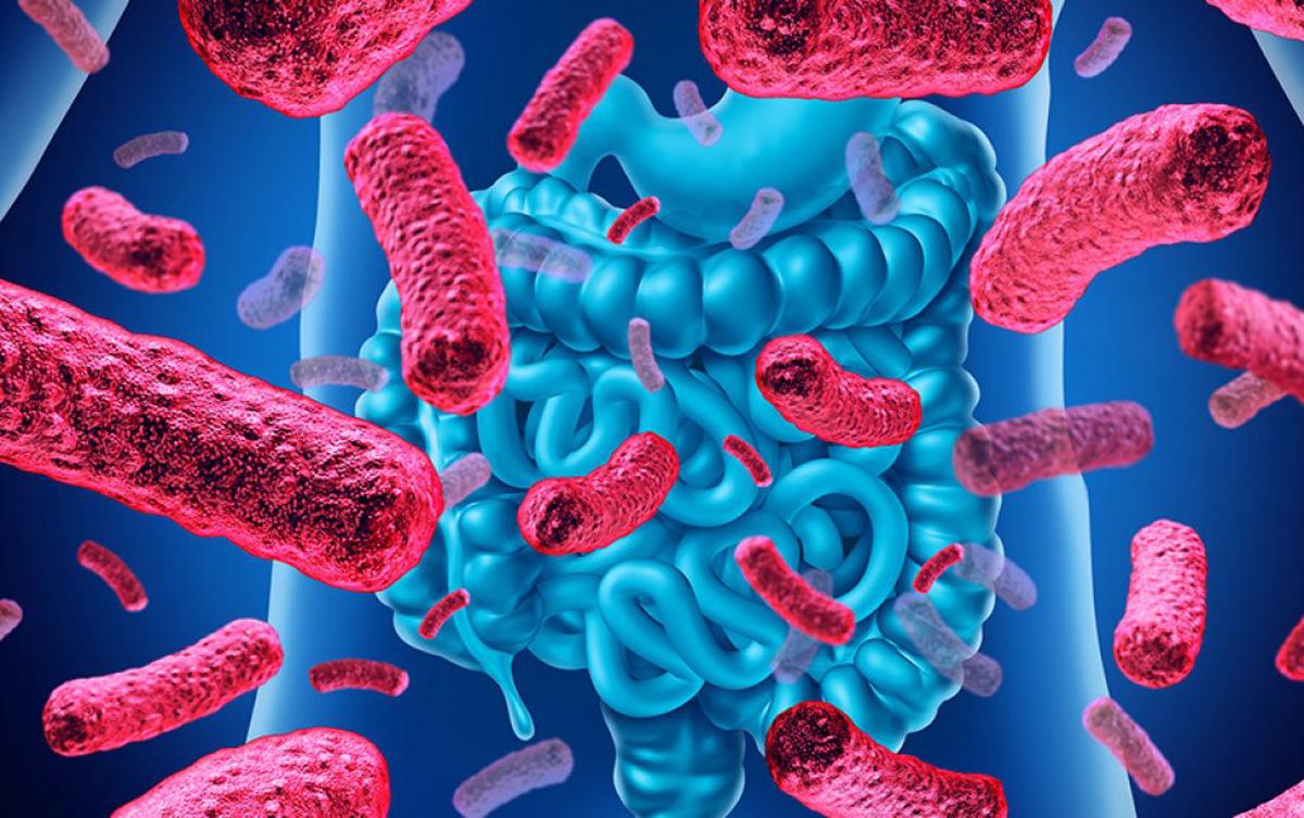 Aprobación del nuevo reglamento para la Comisión Nacional contra la Resistencia Antimicrobiana