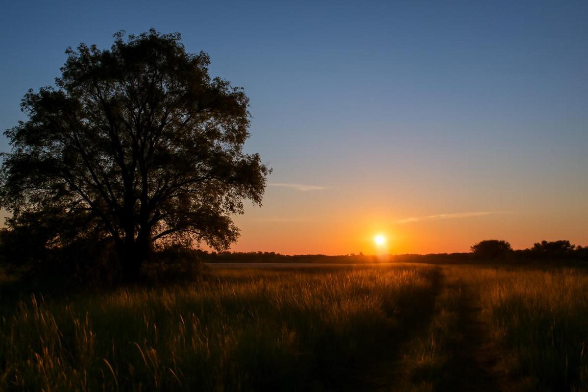 Clima en Córdoba: tormentas y altas temperaturas para el 15 de diciembre