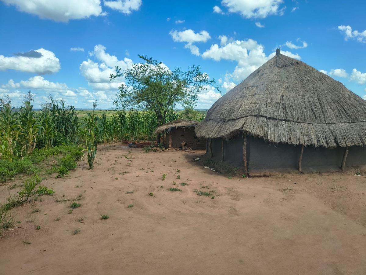 Investigadores argentinos aportan tecnología en Mozambique.