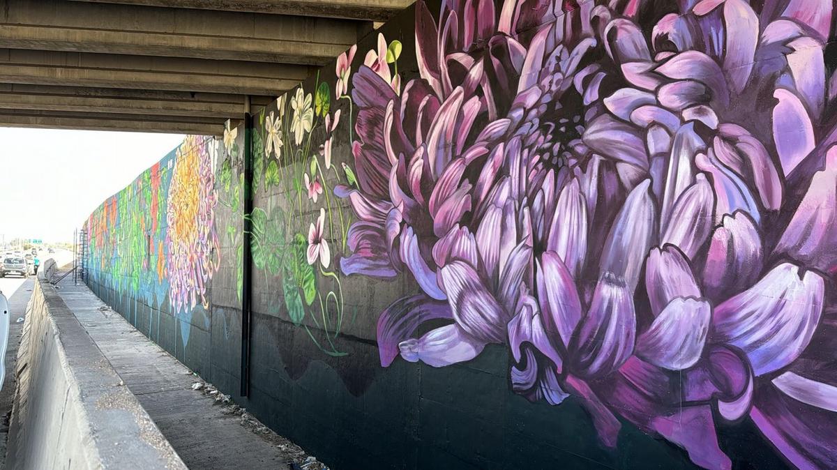 FOTO: Murales en el Puente Piamonte. 