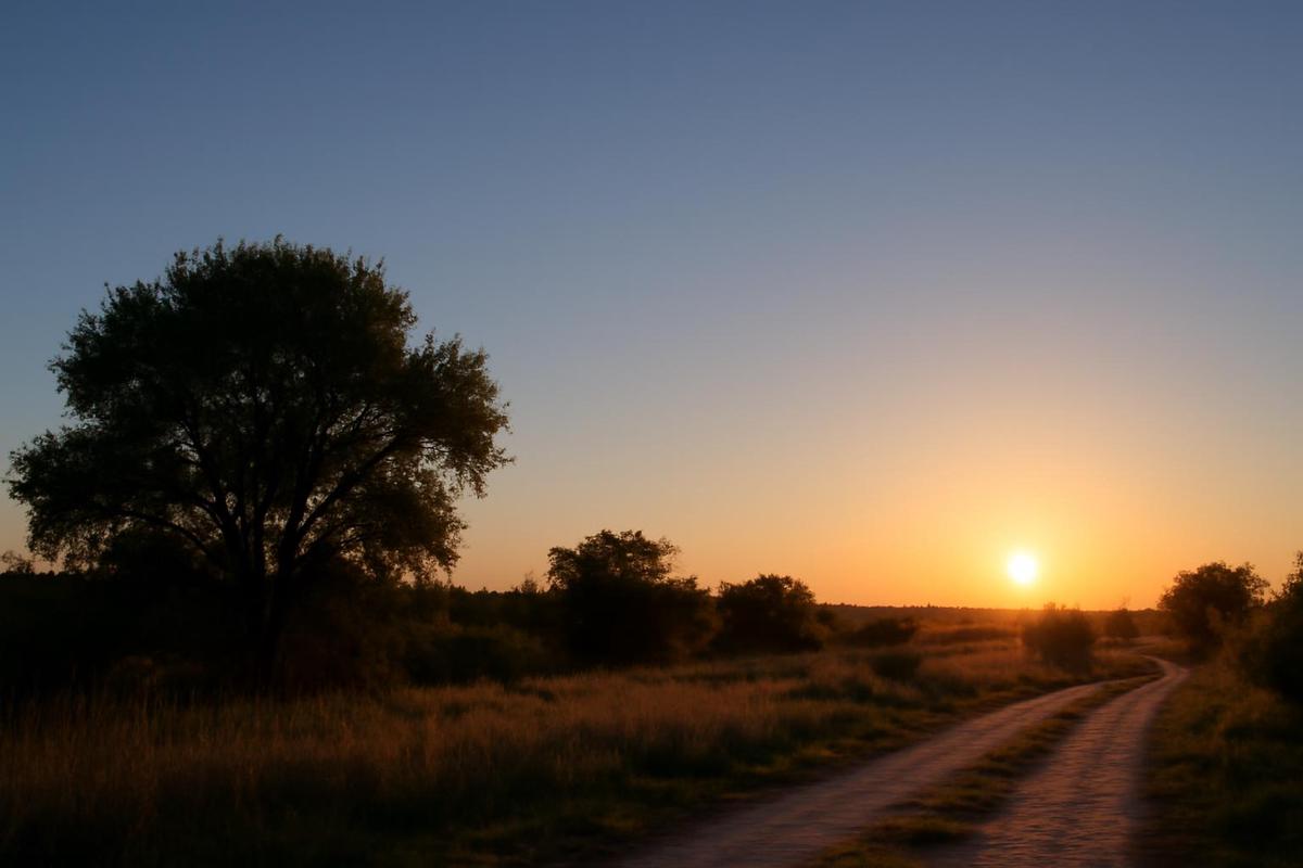 Clima en Rosario: pronóstico del tiempo para el 1 de marzo