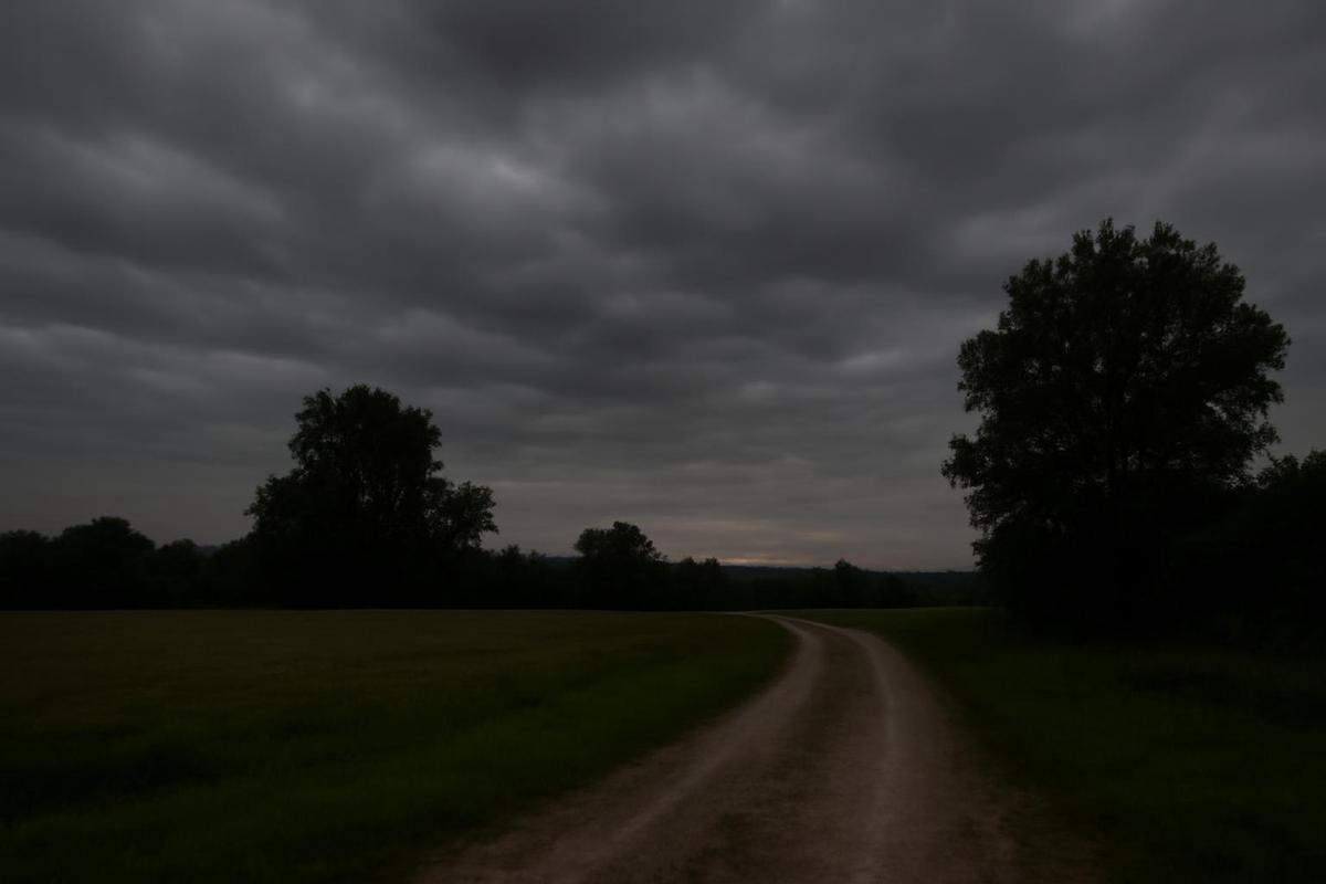 Clima en Salta: pronóstico del tiempo para el 18 de junio