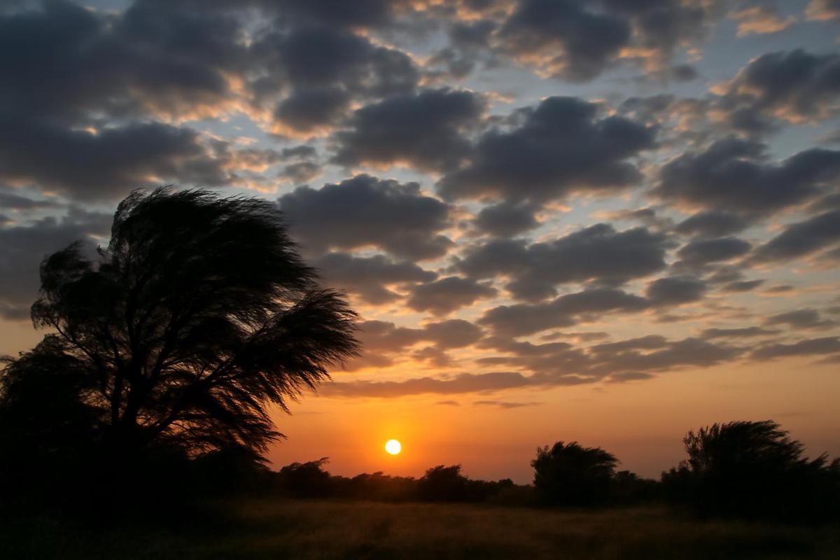 Clima en Santa Fe: pronóstico del tiempo para el 14 de diciembre