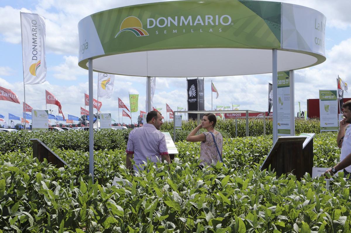 FOTO: El unicornio argentino que lidera la genética de soja a nivel mundial (Expoagro)