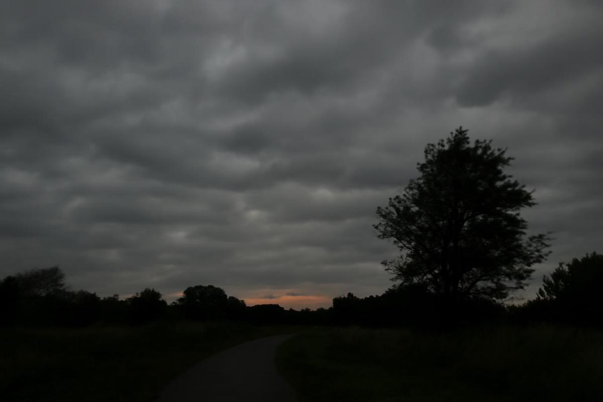 Clima en Rosario: pronóstico del tiempo para el 16 de abril