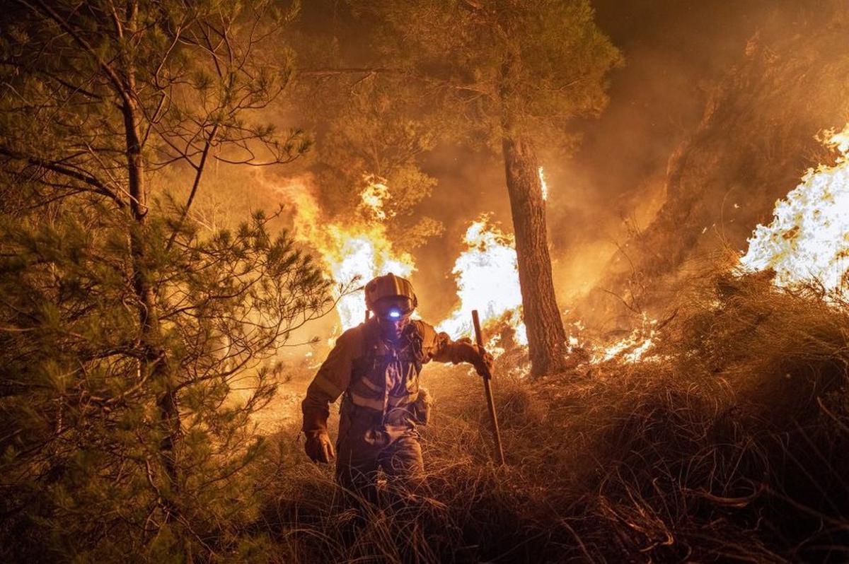 Más de 240.000 hectáreas por incendios forestales en España.