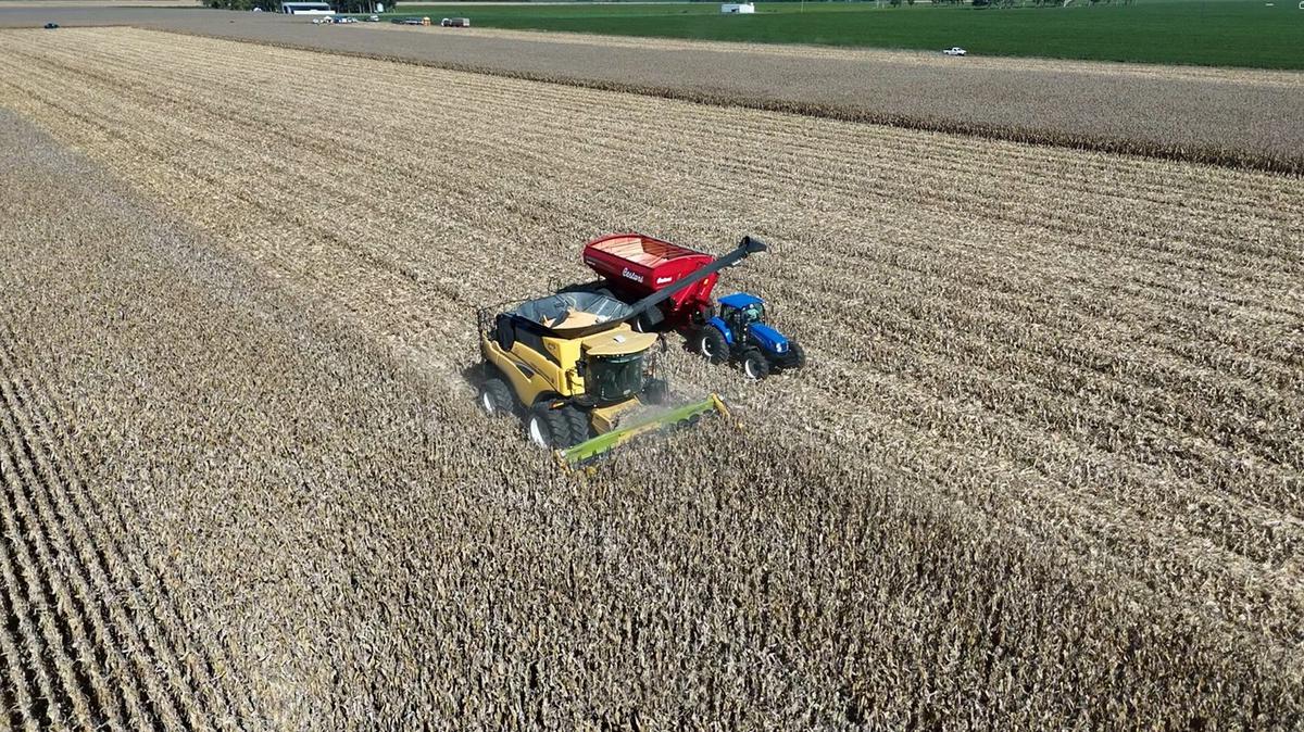 El equipo en acción en el campo de Leo Ponzio, en Las Rosas, Santa Fe