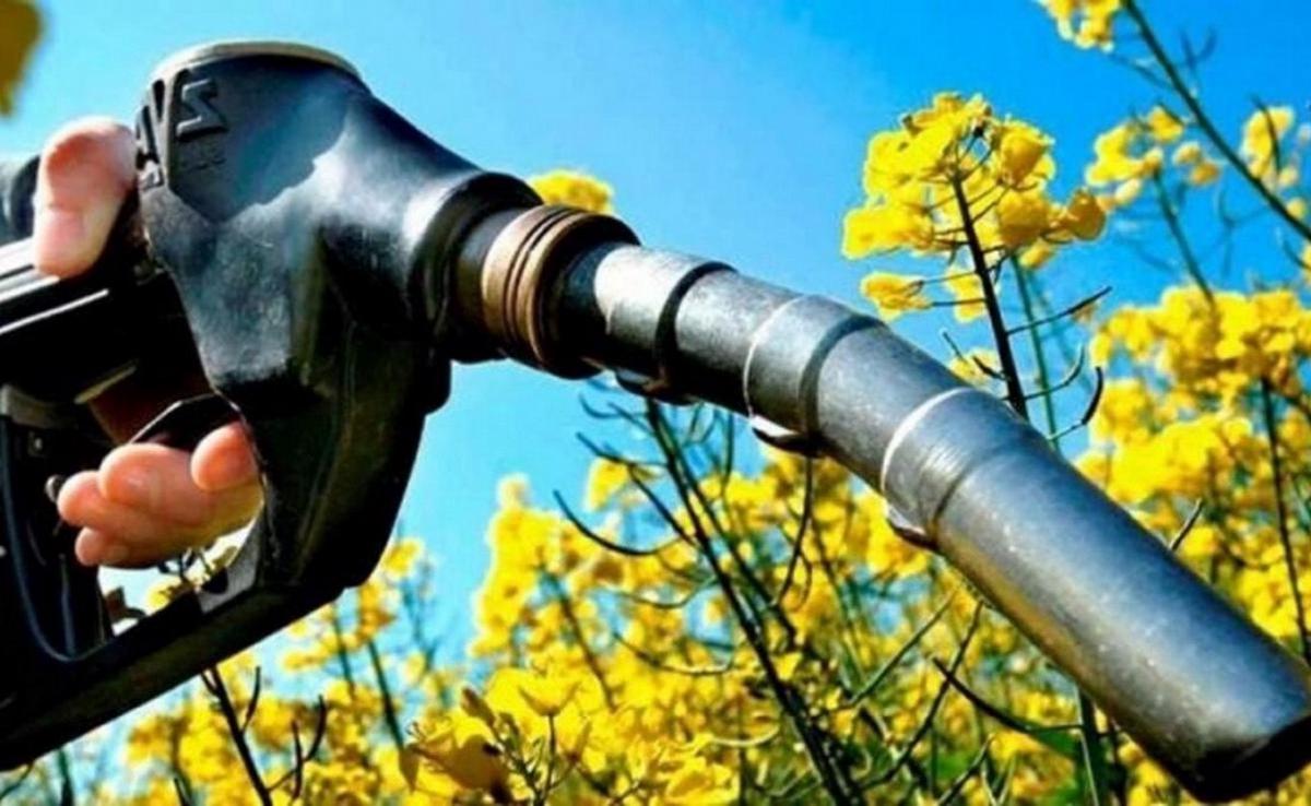 Biocombustibles: un nuevo horizonte para Argentina