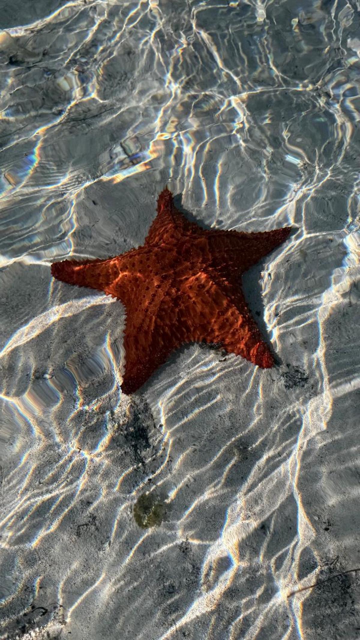 Excursión en Cayo Largo: un día de aventura y diversión en el Caribe cubano