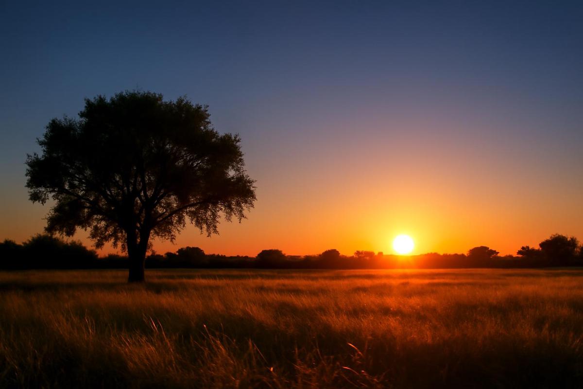 Clima en Córdoba: pronóstico del tiempo para el 31 de diciembre