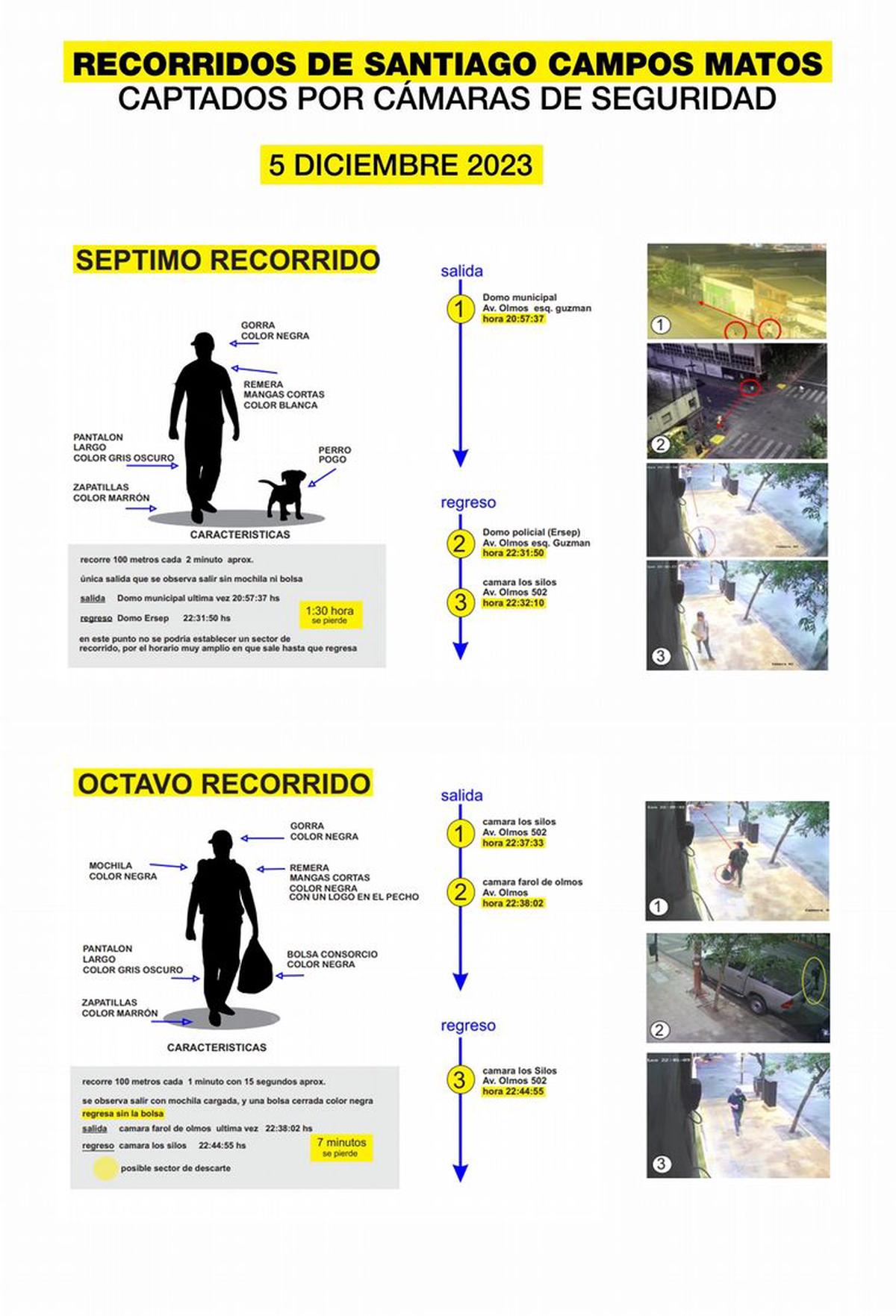 Placas infográficas. Caso Anahí Bulnes.