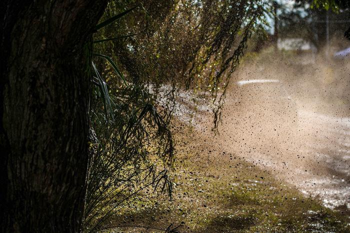 Rally Cordobés: Confirman la postergación del Rally de San Francisco por lluvias