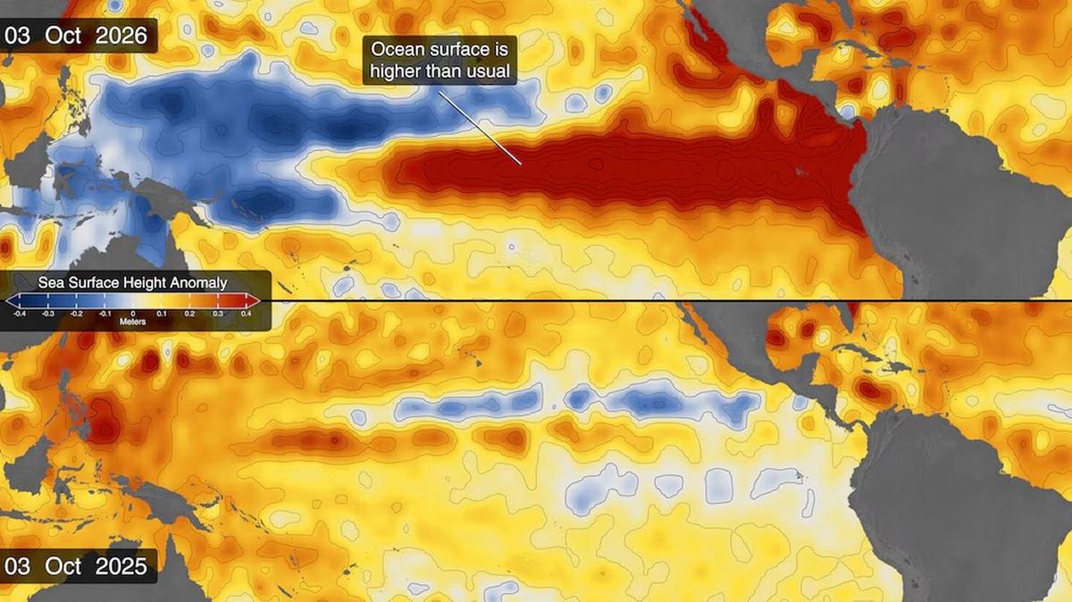 La NASA sigue de cerca el impacto de El Niño en el océano.