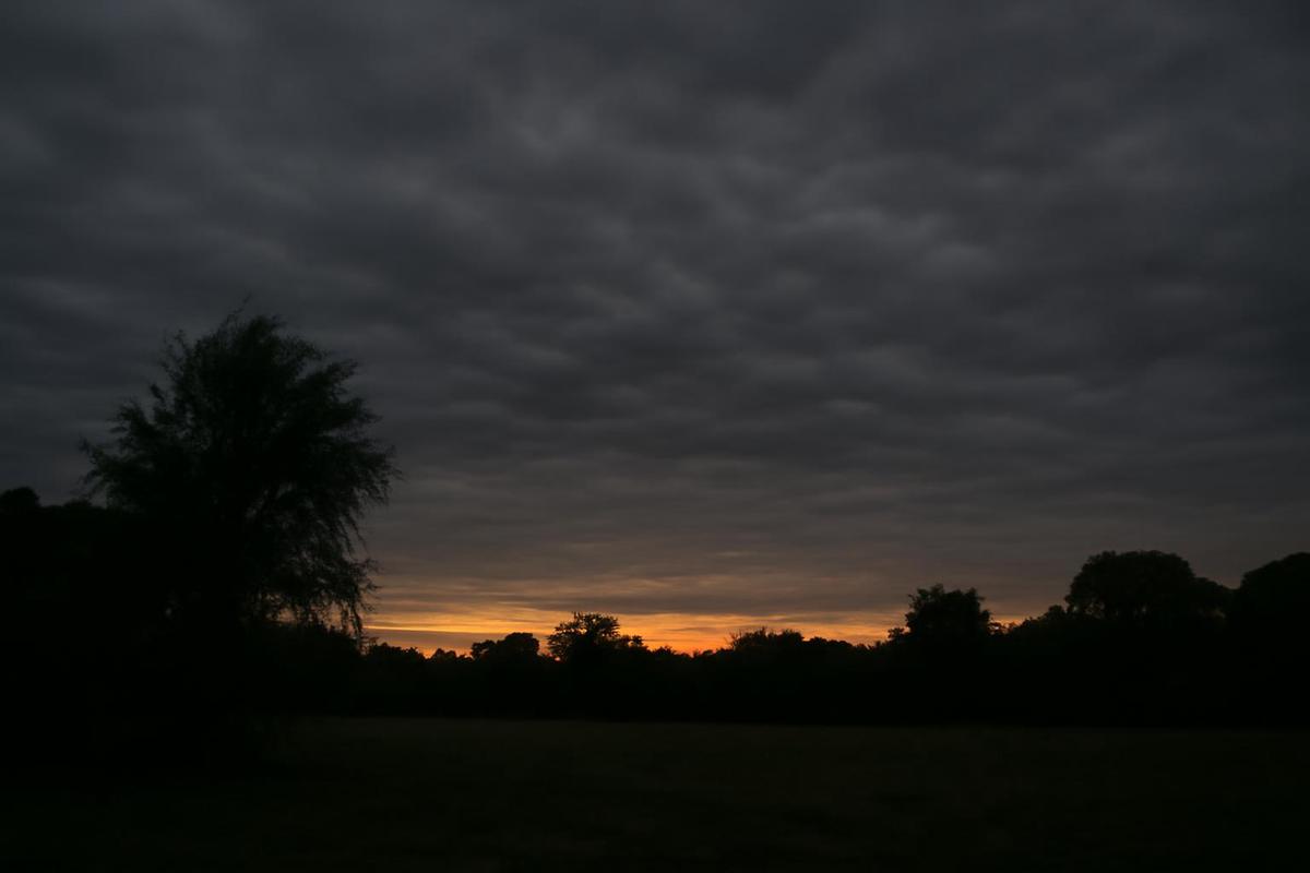 Clima en Córdoba: pronóstico del tiempo para el 26 de agosto