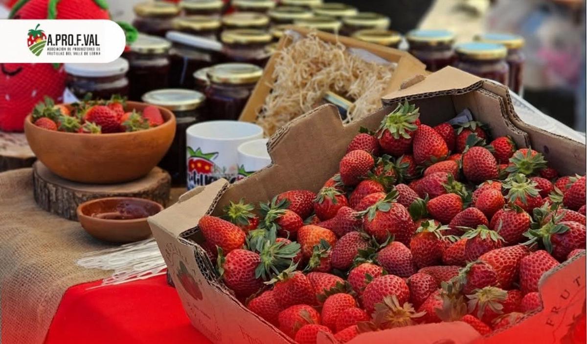 Salta inicia la cosecha de frutillas 2026