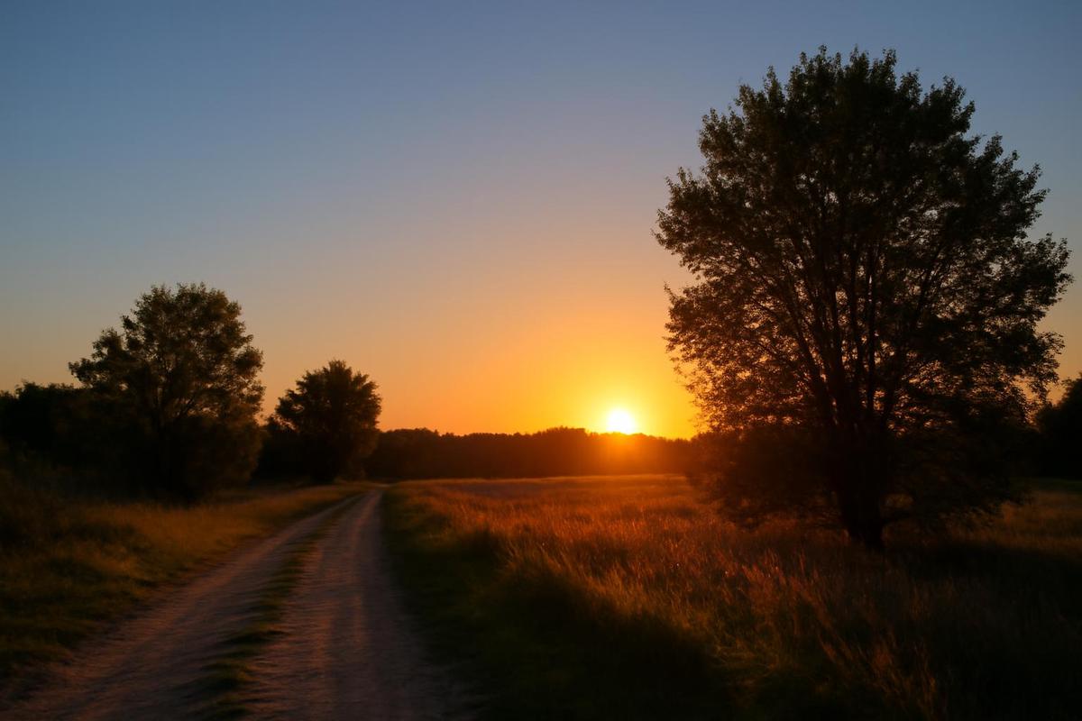 Clima en Rosario: pronóstico del tiempo para el 22 de marzo