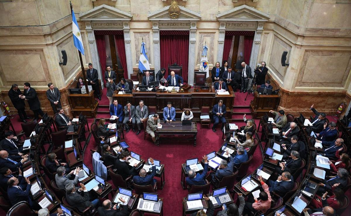El Senado limitó el alcance de los Decretos de Necesidad y Urgencia (DNU).