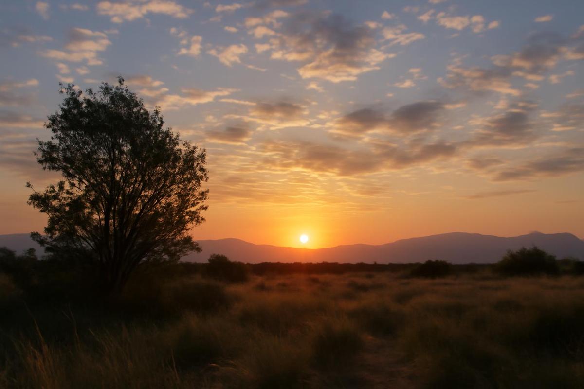 Clima en Mendoza: pronóstico del tiempo para el 30 de agosto