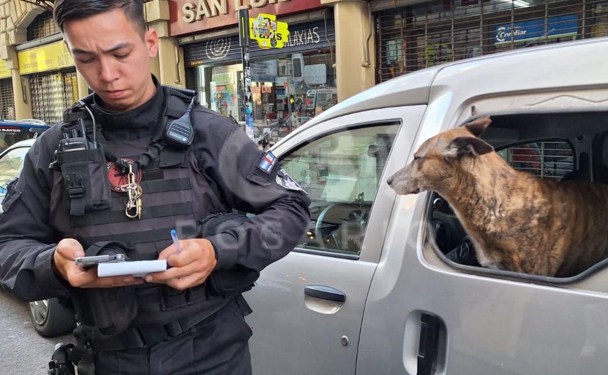 FOTO: La Policía rompió un vidrio y rescató al perro. 