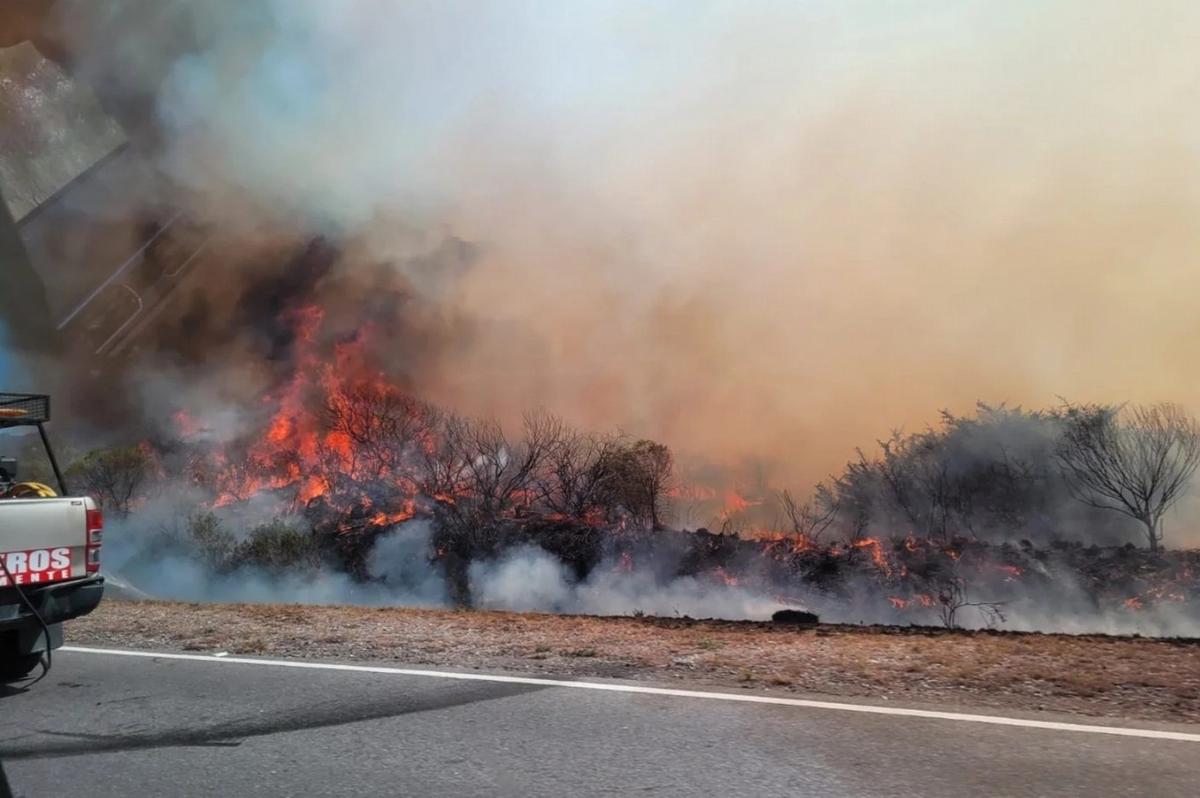 FOTO: Incendio en Bosque Alegre (Foto: Alta Info)