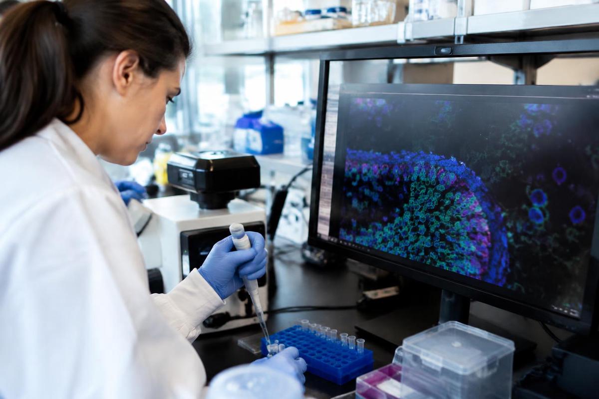 Investigación sobre la bacteria Bacteroides fragilis
