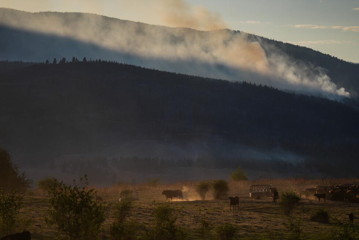 Incendio forestal destruye unas 230 viviendas en comunidad indígena de Canadá, dicen autoridades