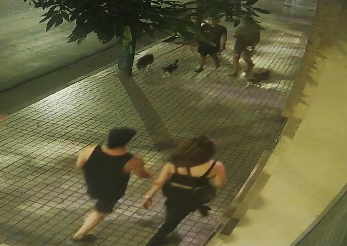 Anahí Bulnes - Secuencia