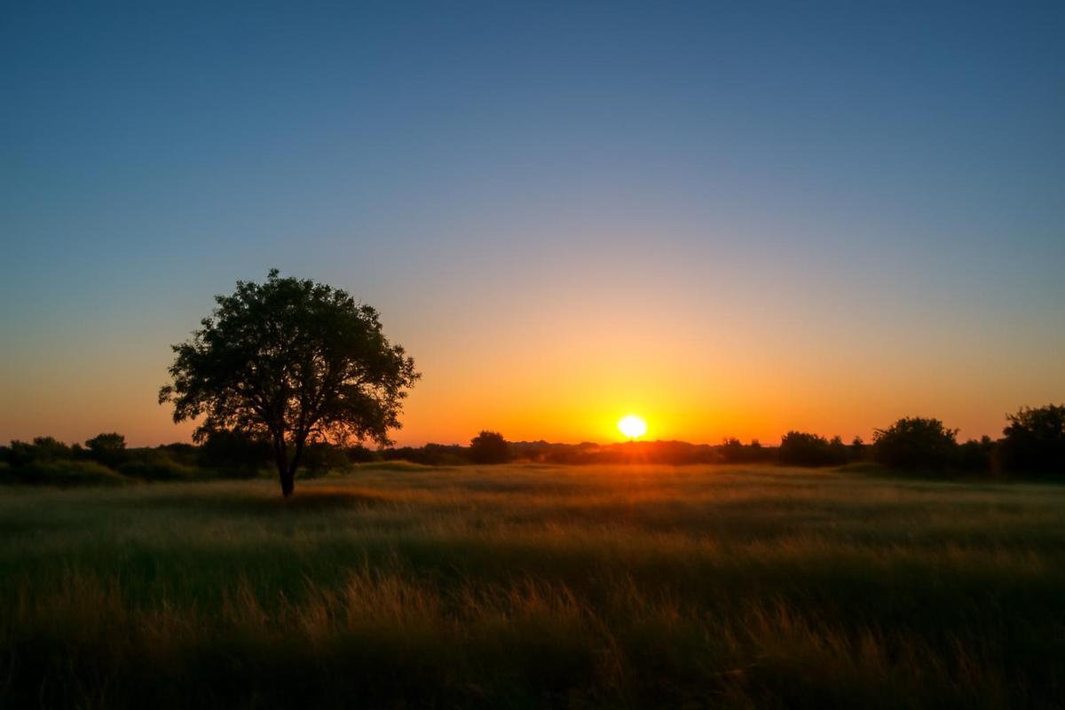 Estado del tiempo en CABA para el 22 de marzo