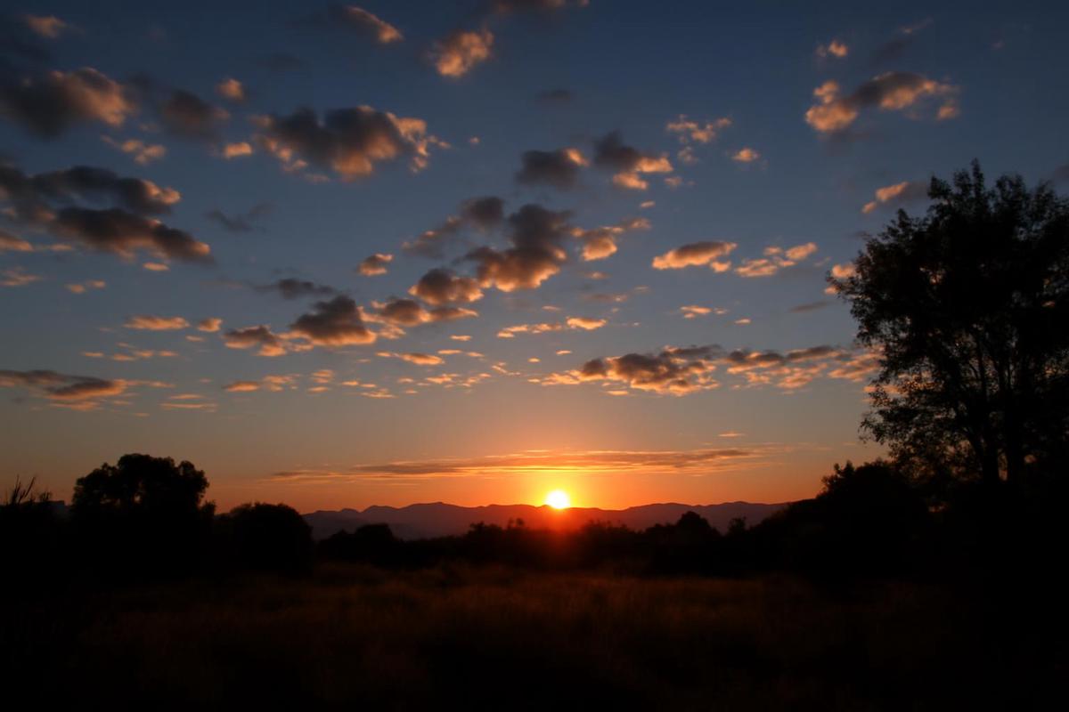 Clima en Mendoza: pronóstico del tiempo para el 6 de diciembre