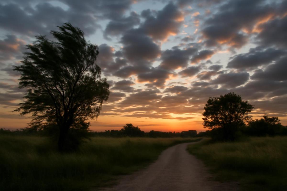 Clima en Mendoza: pronóstico del tiempo para el 14 de diciembre