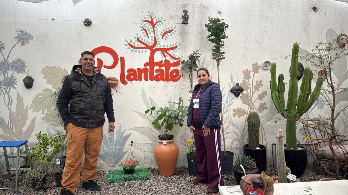 Un vivero que florece en tiempos de crisis