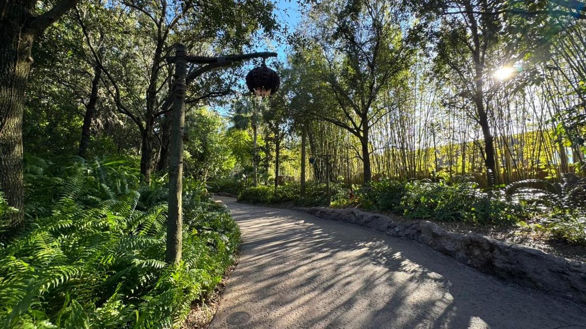 Una experiencia inolvidable en Disney: montañas rusas y aventuras emocionantes