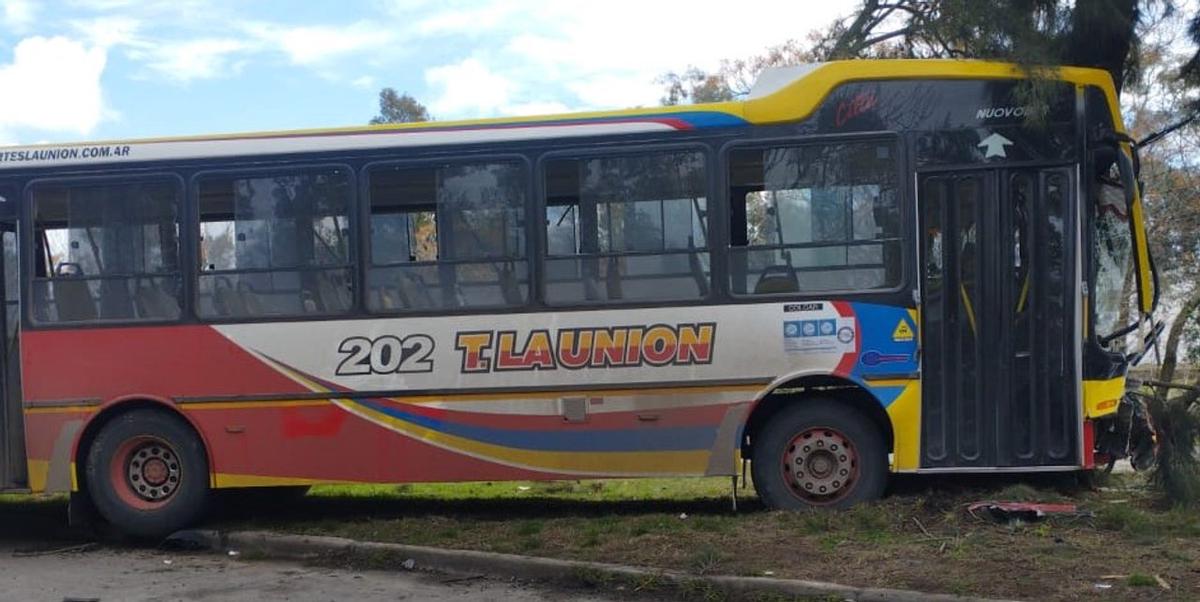Accidente en Berisso: colectivo impacta contra auto y se estrella contra un árbol