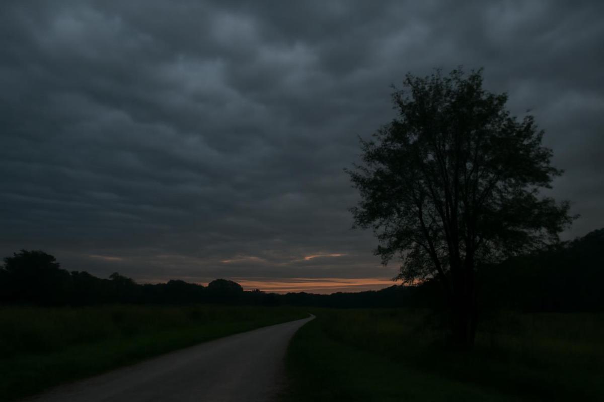 Clima en Salta: pronóstico del tiempo para el lunes 5 de octubre