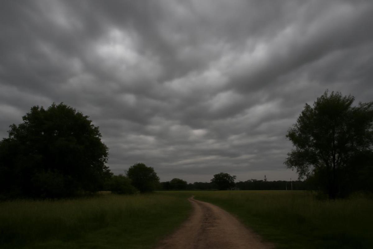 Clima en Santa Fe: pronóstico del tiempo para el lunes 3 de agosto