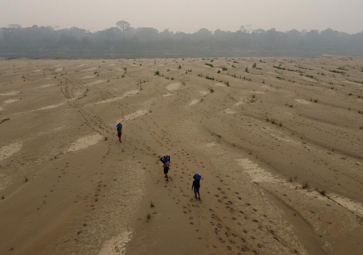 ¿Cree que ahora hace calor? Los próximos 5 años batirán récords, según la ONU