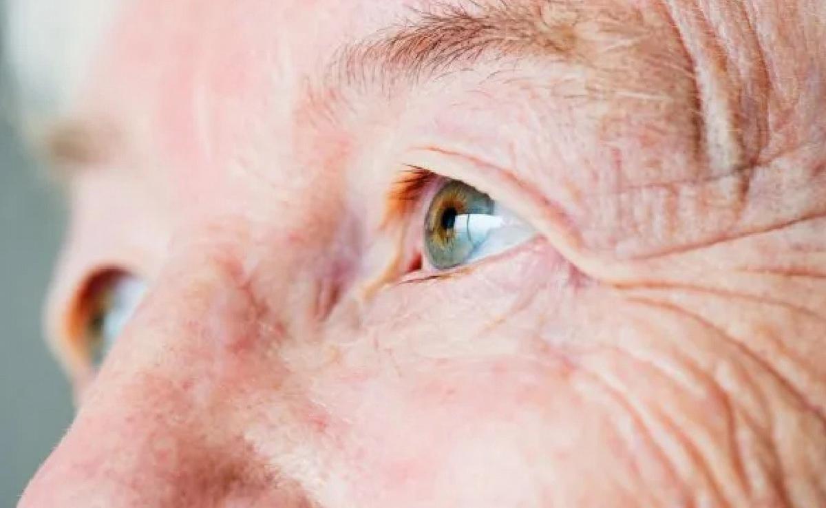 La población centenaria se duplicaría en Argentina en 2050.