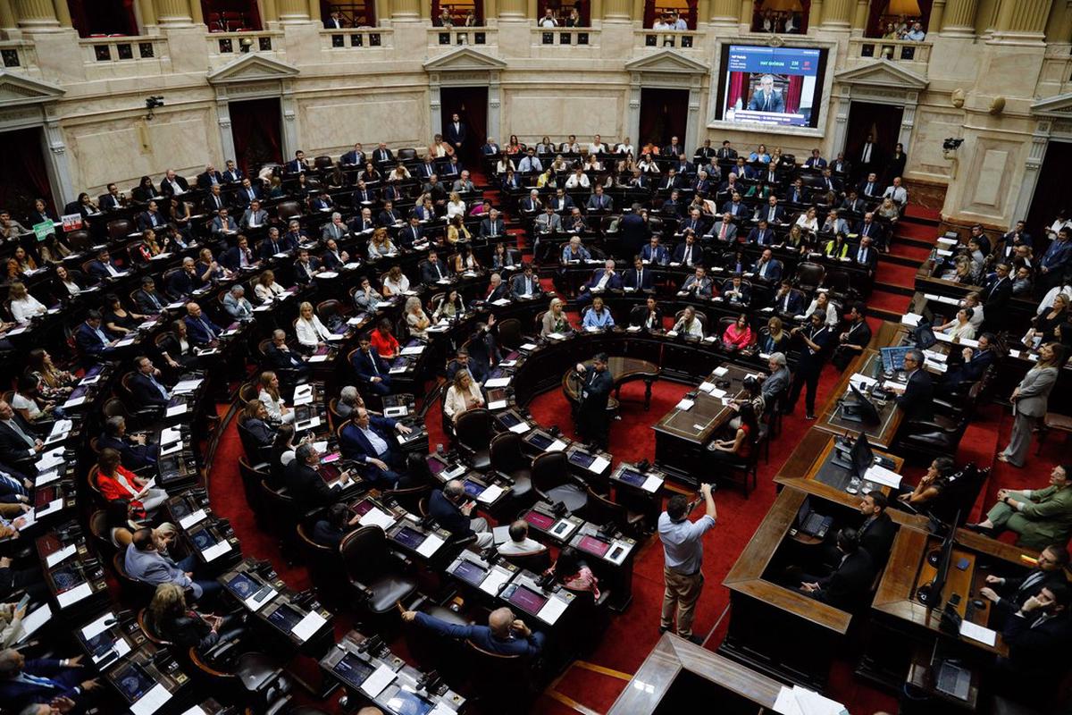 Cámara de Diputados.