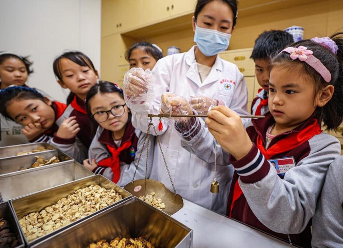 Niños aprenden a medir proporciones para la medicina china.