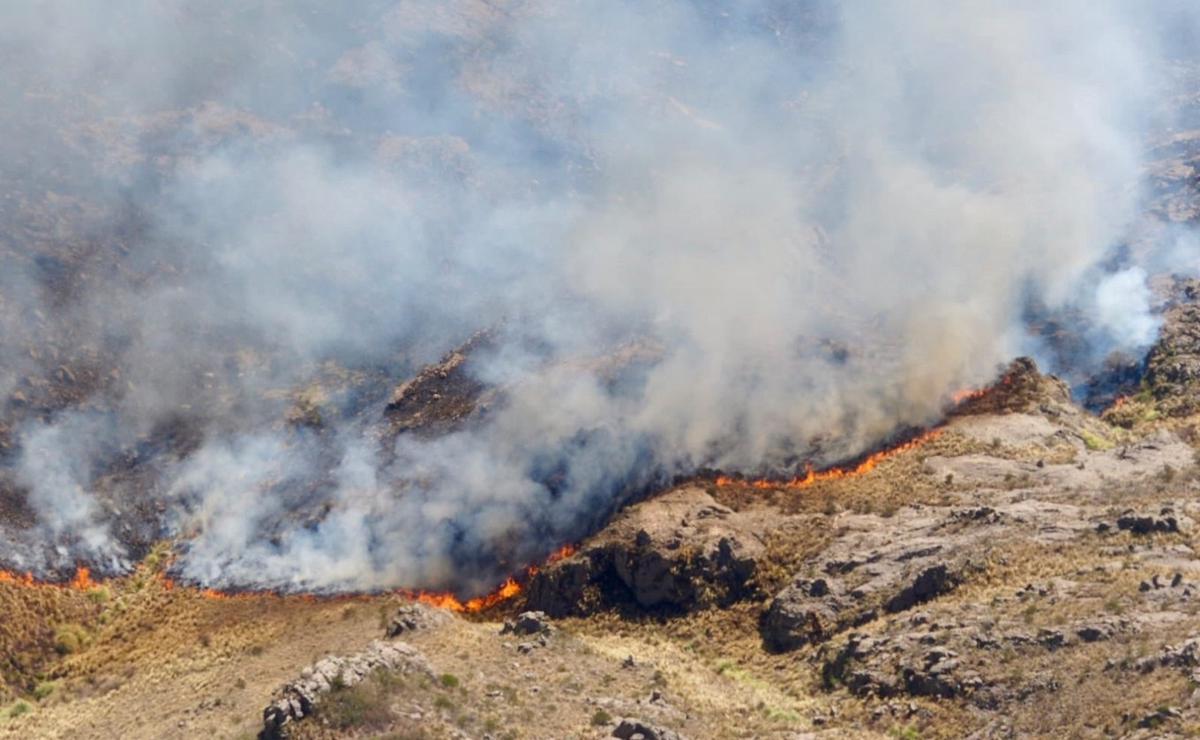 ¿Puro humo?. La entidad afirma que la ley no cumple su objetivo. 