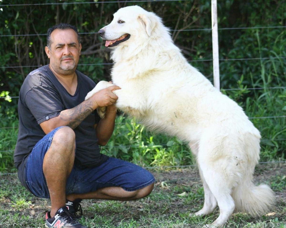 El custodio de las manadas. Medina y "Ciro".