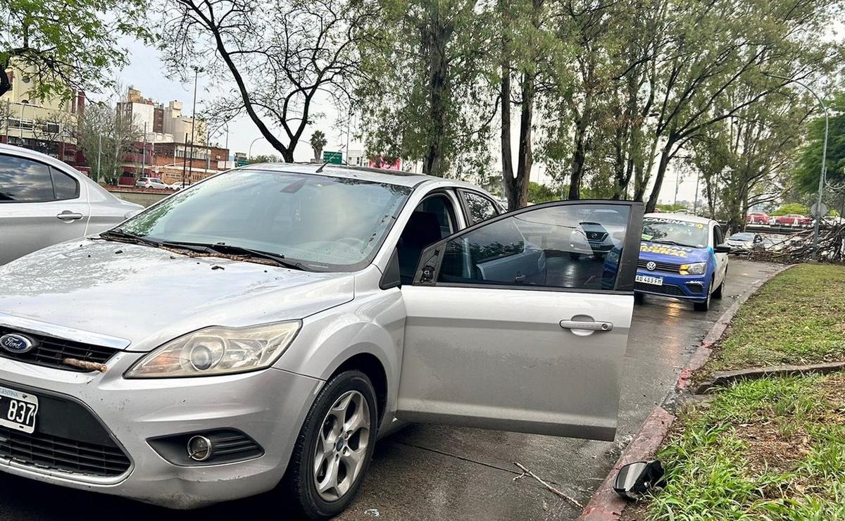 FOTO: Un árbol cayó y dañó a un auto en la Costanera. (Foto: Lucía González/Cadena 3)