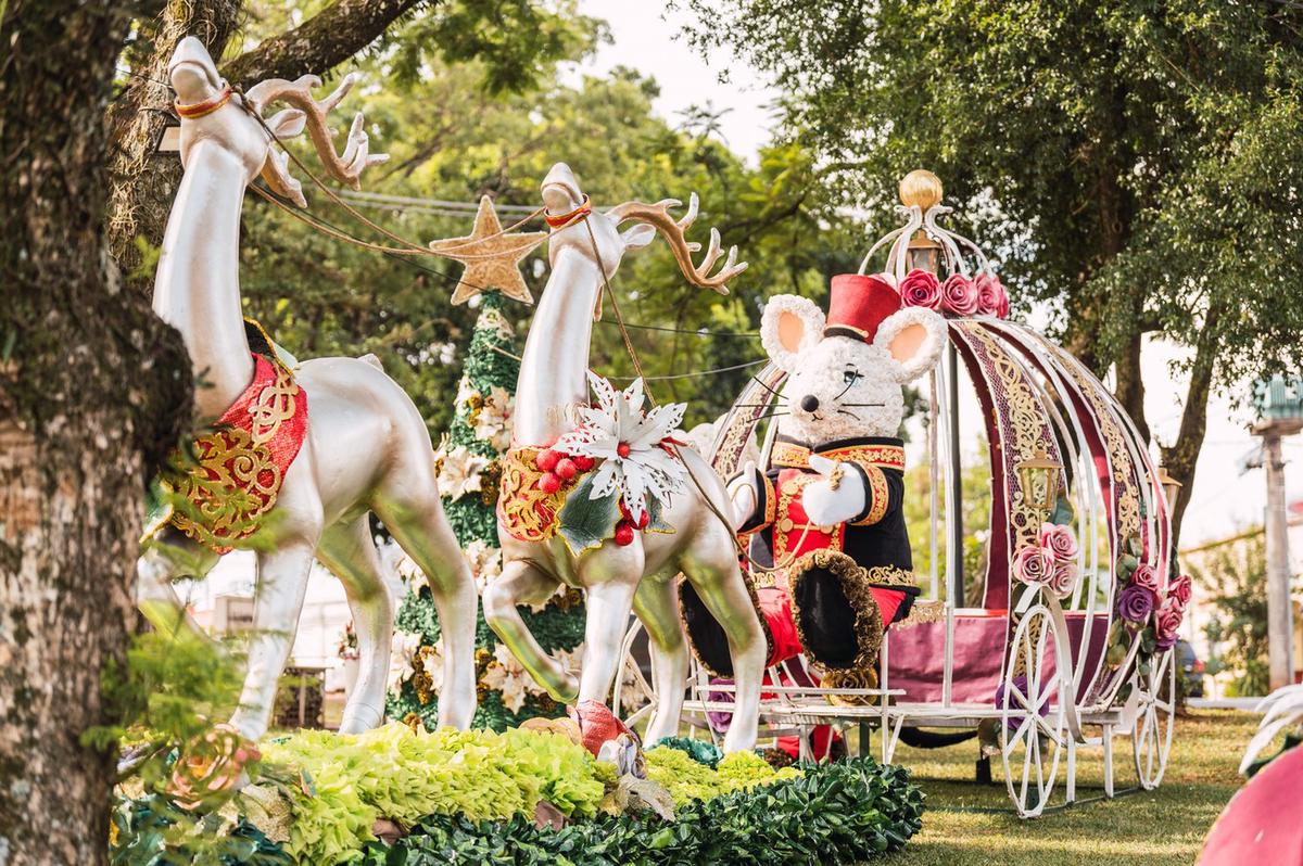 Navidad en Leandro N. Alem (Fotos: Fiesta Nacional de la Navidad del Litoral)