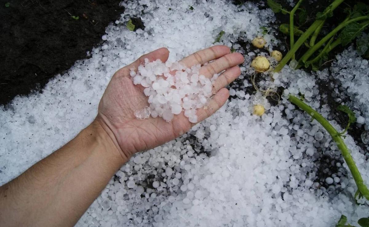 FOTO: Alerta por tormentas y granizo.