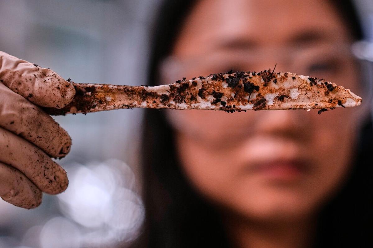Una empresa fabrica plásticos biodegradables a partir de azúcar